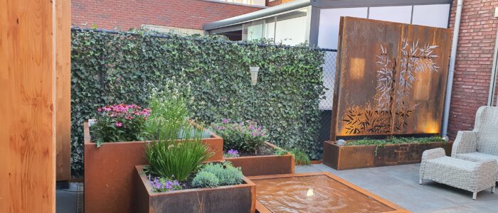 20210731_205021 20210731_205021