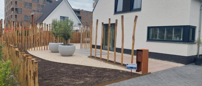 20250605_125351 20250605_125351